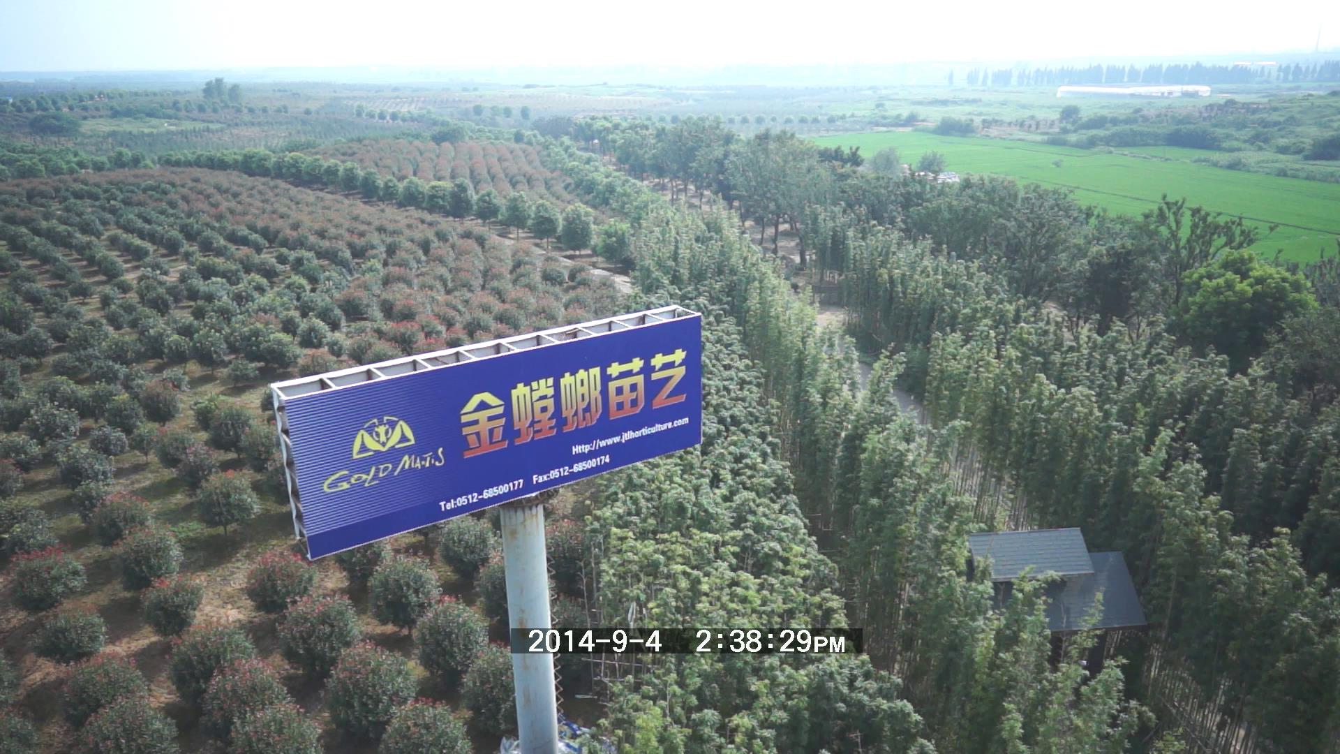 ʱ(й)ǲ!